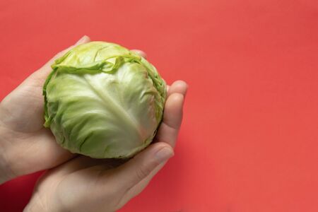 green cabbage on an isolated color backgroundの写真素材
