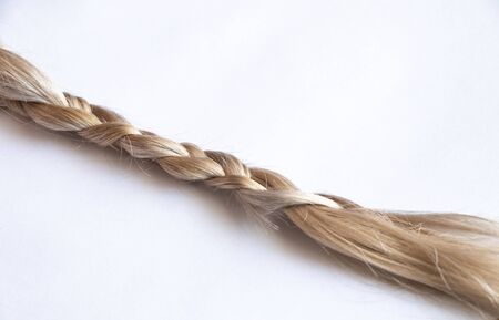 blond hair braid on an isolated background close-upの写真素材