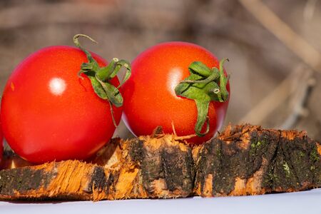 red cherry tomatoes on a wooden old chopper in daylight close-upの写真素材