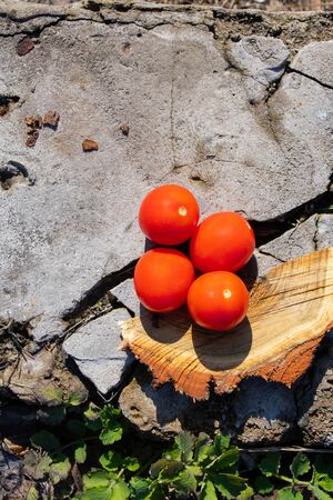 red cherry tomatoes on a wooden old chopper in daylight close-upの写真素材