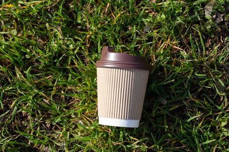 brown paper coffee cup stands in the forestの写真素材