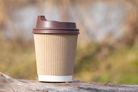 brown paper coffee cup stands in the forestの写真素材