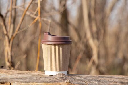 brown paper coffee cup stands in the forestの写真素材