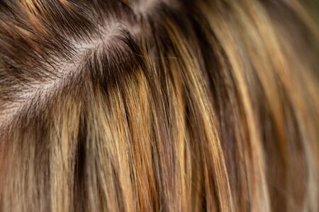 fair hair on a girl s head after washing her headの写真素材