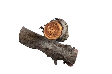 cut down old cherry log on a white backgroundの写真素材