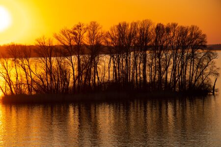 sunset on the banks of the Dnieper river among trees in Ukraine in the Dnieper citiesの写真素材