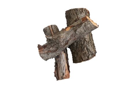 cut down old cherry log on a white backgroundの写真素材