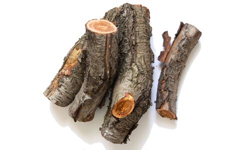 cut down old cherry log on a white backgroundの写真素材