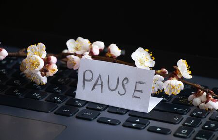 a branch of blooming apricots lies on a laptop keyboard and the word pause on a leafの写真素材