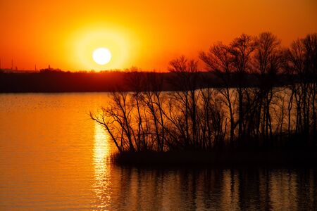 sunset on the banks of the Dnieper river among trees in Ukraine in the Dnieper citiesの写真素材