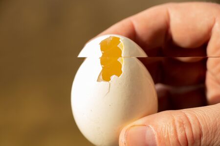 male hand holds homemade chicken egg with a holeの写真素材