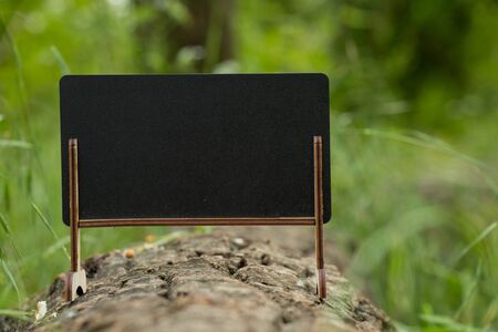 schoo wooden blackboard with place for text stands in the forestの写真素材