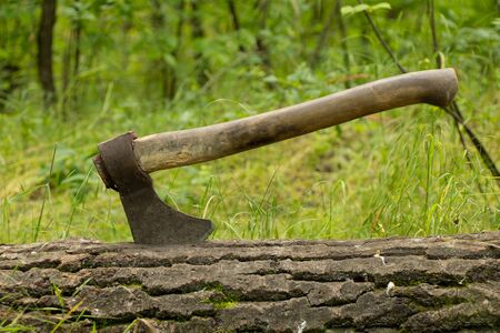 old ax sticks out in a tree in a forest in the sun on a grass backgroundの写真素材
