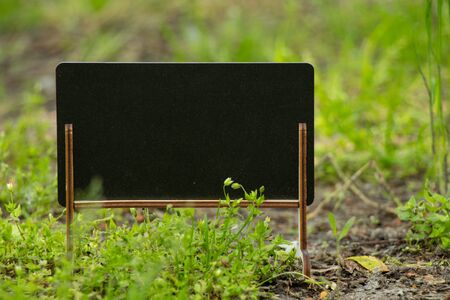 schoo wooden blackboard with place for text stands in the forestの写真素材