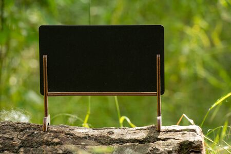 schoo wooden blackboard with place for text stands in the forestの写真素材