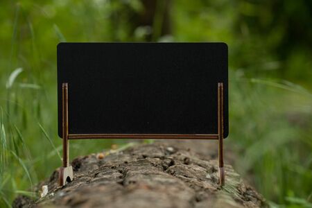 schoo wooden blackboard with place for text stands in the forestの写真素材