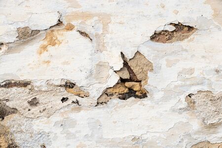 background of old brick wall closeupの写真素材