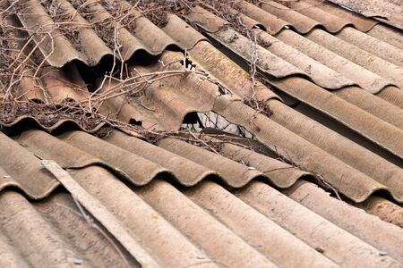old slate tile on a house close-upの写真素材