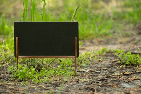 schoo wooden blackboard with place for text stands in the forestの写真素材