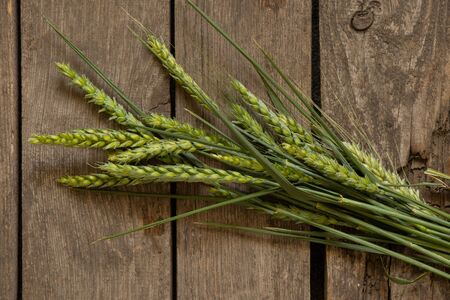 green wheat branches from the field lie on an wooden tableの写真素材