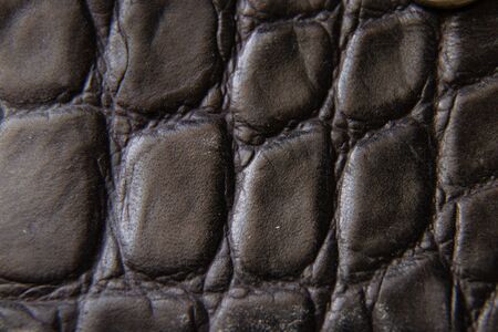 black crocodile skin photo as backgroundの写真素材