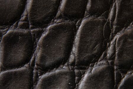 black crocodile skin photo as backgroundの写真素材