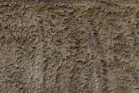 genuine plain leather dark color as background macroの写真素材