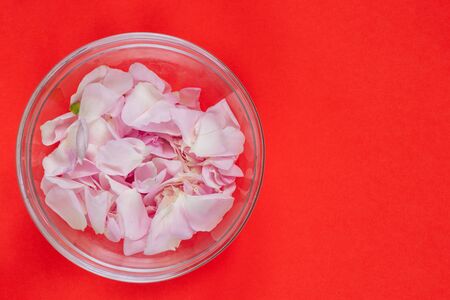 tea rose petals in a glass plate on an isolated backgroundの写真素材