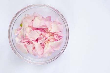 tea rose petals in a glass plate on an isolated backgroundの写真素材