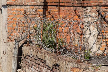 barbed wire on an old brick fenceの写真素材