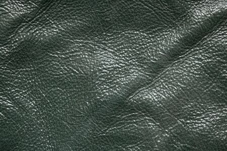 plain light green animal skin as backgroundの写真素材