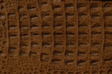 crocodile skin dark brown close up as backgroundの写真素材