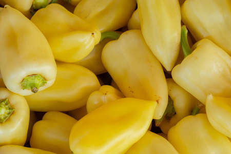 White bell pepper in the bazaar as a background in a boxの写真素材