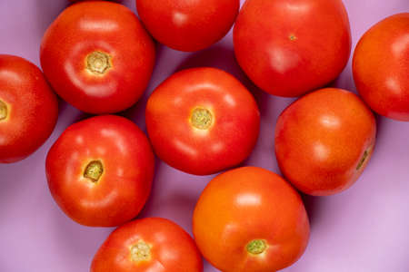 a lot of red tomato on isolated purple background close upの写真素材