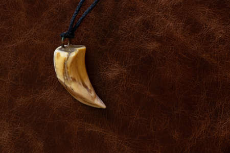 animal fang as a talisman on a lace lies on skinの写真素材