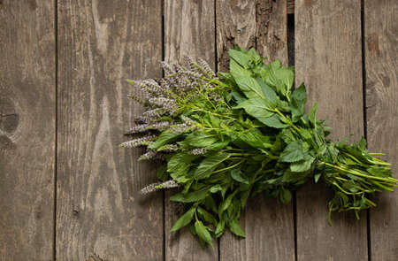 blooming mint lies on a wooden table in the kitchenの写真素材