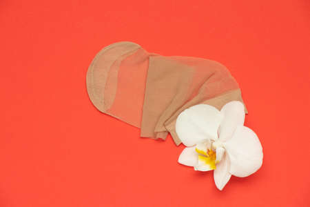 nylon sock on a colored background and next to a white orchid flowerの写真素材