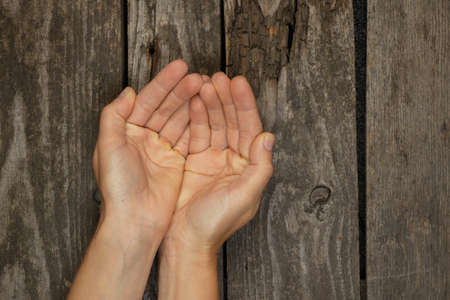 female palms on wooden background closeup