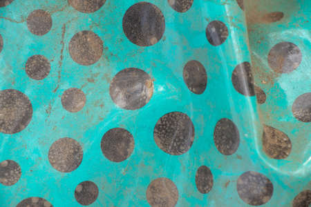 material cloth old dirty from a film in black peas on a green background as a background