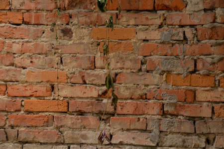 old brick wall of ruined house as background