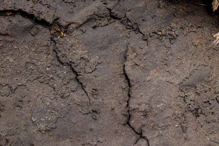 cracked black resin sheet as background close up
