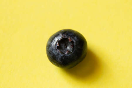 one blueberry on a light colored background close-upの写真素材