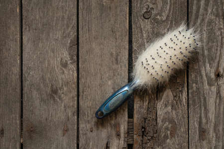old comb with dog hair lie on a wooden tableの写真素材