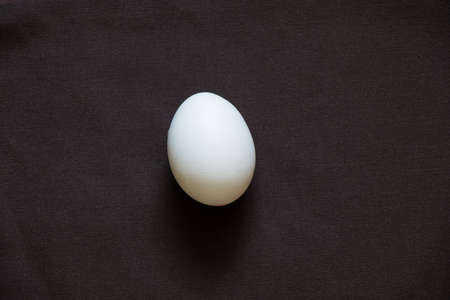 one white chicken egg on a dark background close up