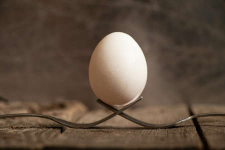 white chicken egg stands on two fork on a wooden table in the kitchenの写真素材