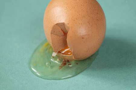 broken raw chicken egg brown lies on a plate close-up