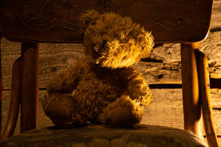 baby brown teddy bear sits on a chair in a dark room with a lamp
