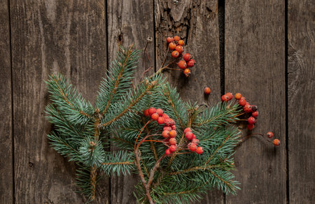 pine branch and viburnum lie on an old wooden background, new year decorの写真素材