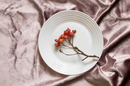 a branch of viburnum berries lies on a white plate on a pink tablecloth on the tableの写真素材