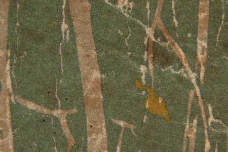 background from old paper light green tone book cover close-up, macro photo
